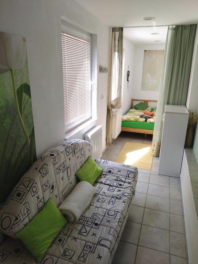 Apartma Peter1a Apartment